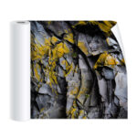 Rocks Print Wall Sticker