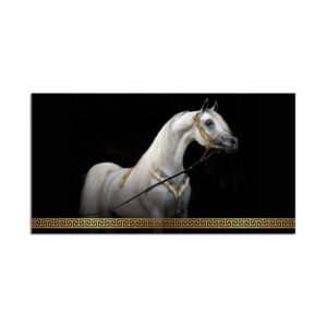 White horse painting with black background