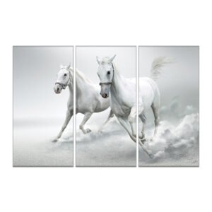 White and gray horse painting set