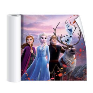 Stickers for kid’s rooms frozen